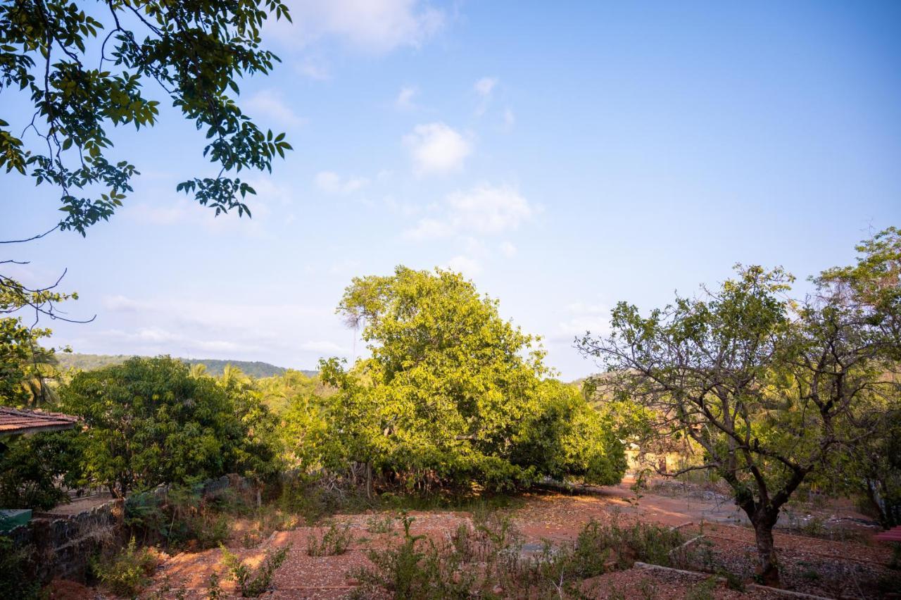 La Oasis By Meraden ,Goa Anjuna Dış mekan fotoğraf