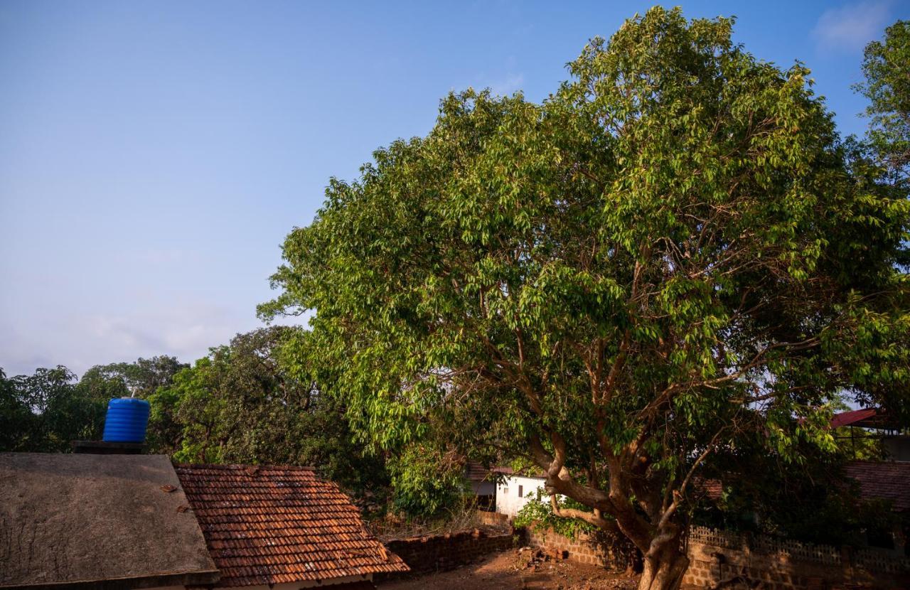 La Oasis By Meraden ,Goa Anjuna Dış mekan fotoğraf